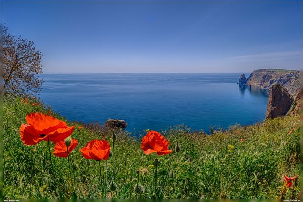 Николай Рубцов ~ Весна на море Николай Рубцов ~ Весна на море