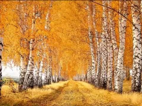 Сергей Есенин ~ Отговорила роща золотая… Сергей Есенин ~ Отговорила роща золотая…