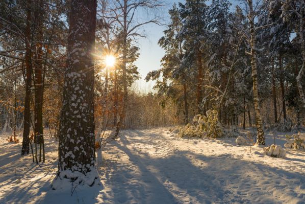 Фёдор Тютчев ~ Декабрьское утро (На небе месяц - и ночная...) Фёдор Тютчев ~ Декабрьское утро (На небе месяц - и ночная...)