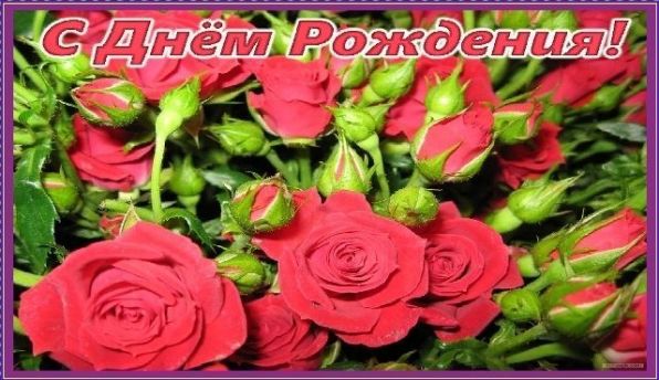 Великолепные поздравления с Днём рождения молодой Женщине в прозе своими словами