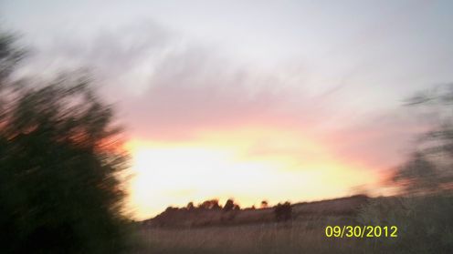 article107517.jpg