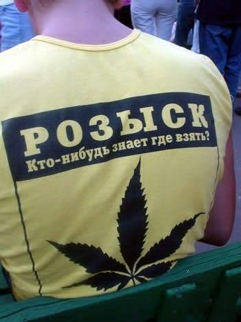 article135539.jpg