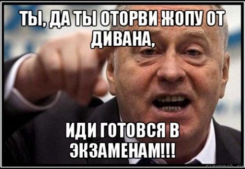 article180042.jpg