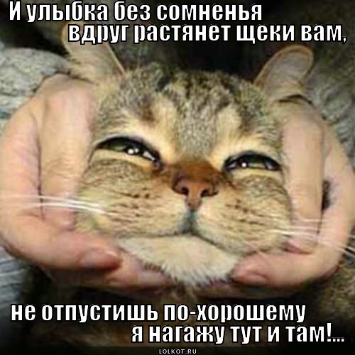 article180045.jpg
