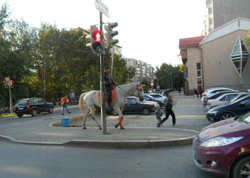 article181900.jpg