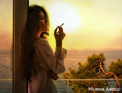 article208355.jpg