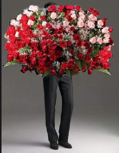 article217030.jpg