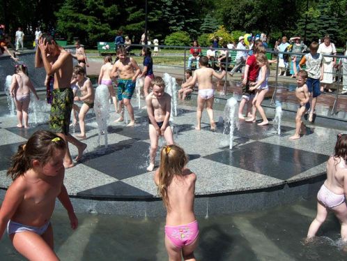 article223195.jpg