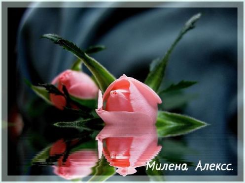 article235352.jpg