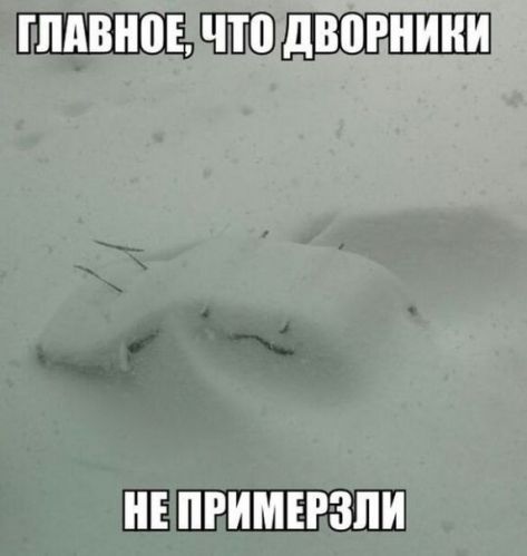 article257664.jpg