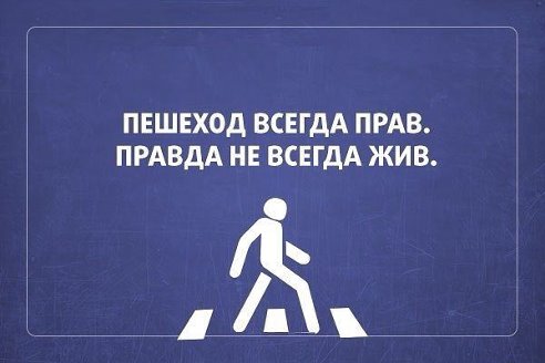 article257680.jpg
