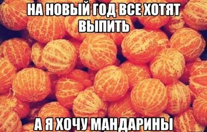 article260680.jpg