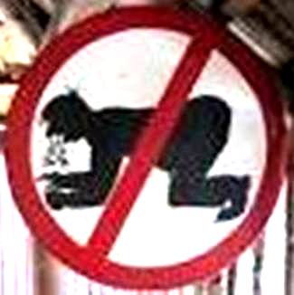 article265173.jpg