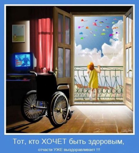 article265820.jpg
