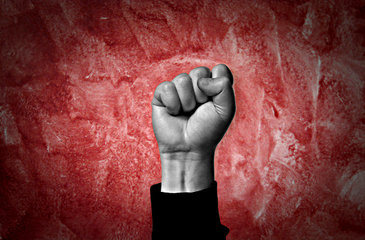 article271727.jpg