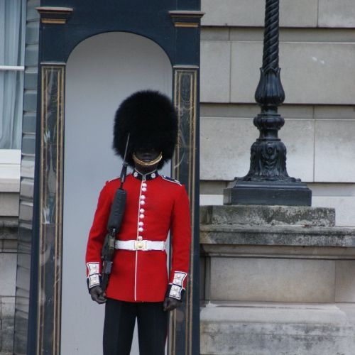 article2718.jpg