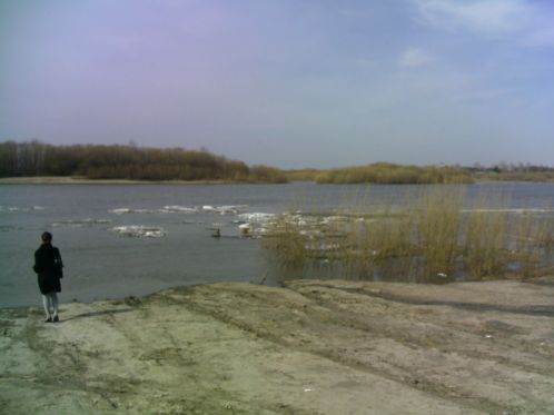 article281803.jpg