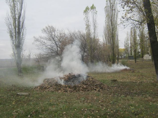 article328862.jpg