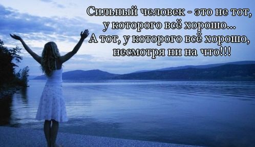article464319.jpg