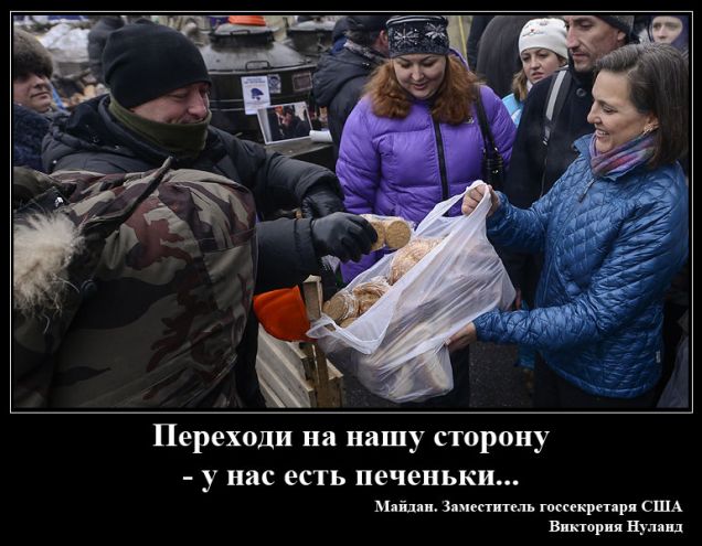 article492147.jpg