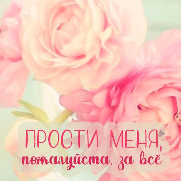 article520057.jpg