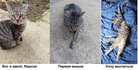 article540839.jpg