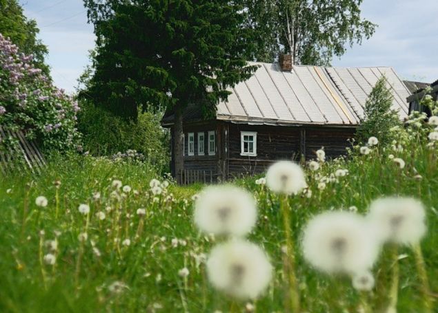 article540934.jpg