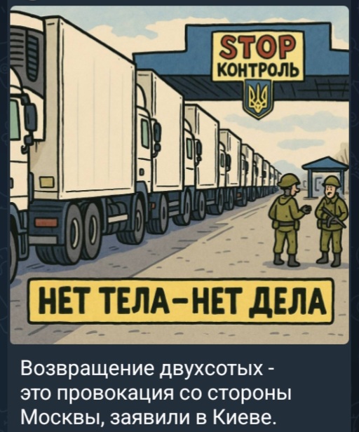 article541013.jpg