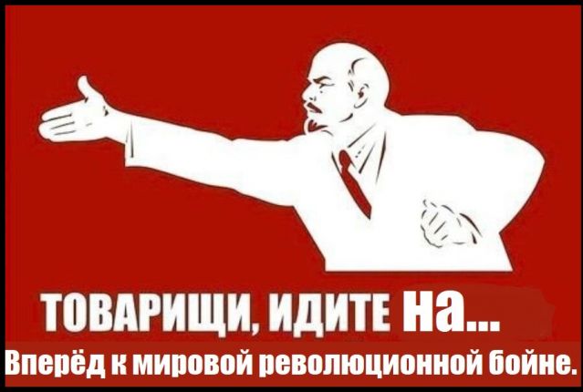 article541184.jpg