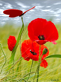 article542400.jpg