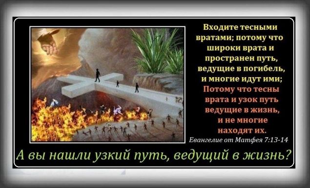 article542794.jpg