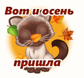 article543238.jpg