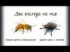 Муравей, Пчела и Муха