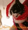 Рождественские поздравления коту Фелису от Г.Ф. Лавкрафта