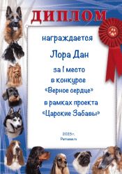 КОНКУРС КОНКУРС