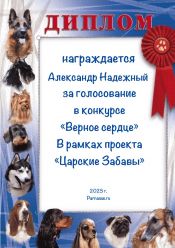 КОНКУРС КОНКУРС