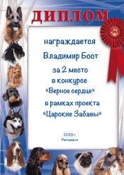 КОНКУРС КОНКУРС