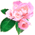 buketik-roz