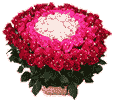 cvety-rozy-15