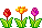 tri-cvetka