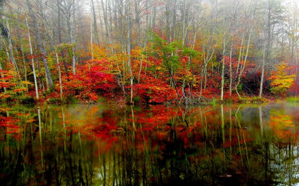 autumn-forest-lake.jpg