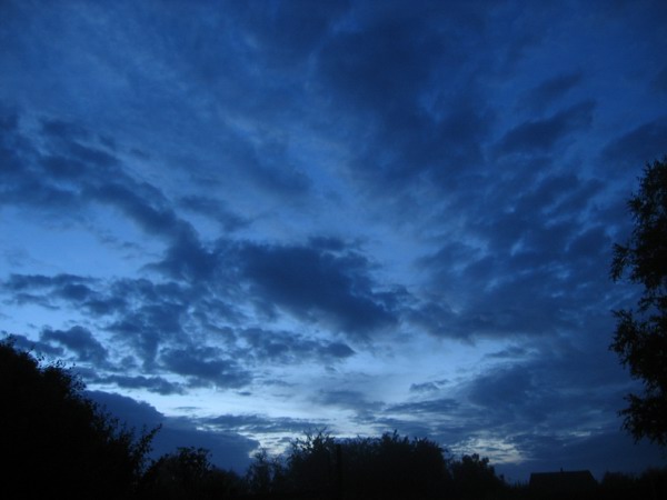 IMG_1232.jpg
