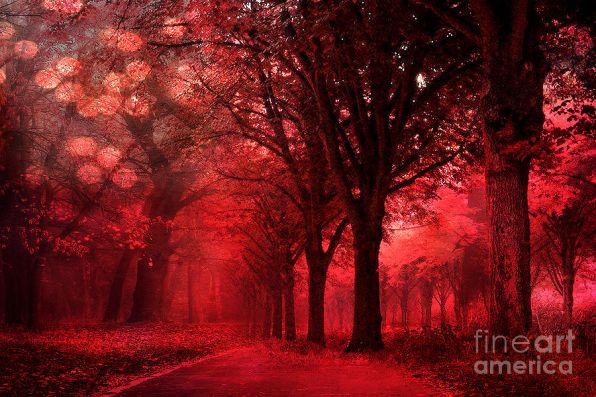 surreal-fantasy-red-forest-woodlands-nature-kathy-fornal.jpg