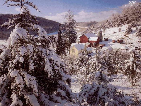winter.jpg