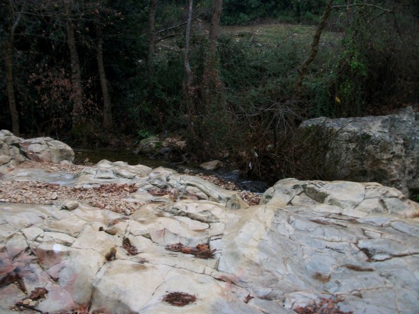 Каменистый берег ручья на дне ущелья.