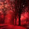 surreal-fantasy-red-forest-woodlands-nature-kathy-fornal.jpg